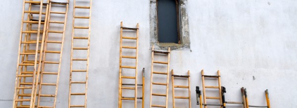 Step Ladders - the choice of professionals
