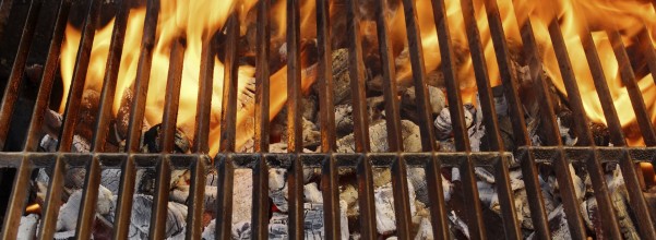 Fireplace Grills - great over-flame cooking