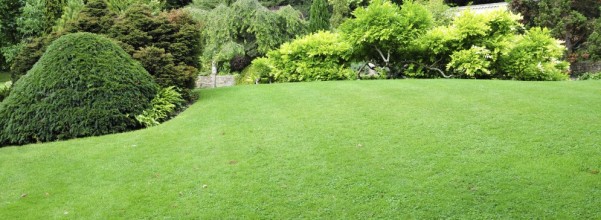 Natural Lawn Care - simple as 1-2-3